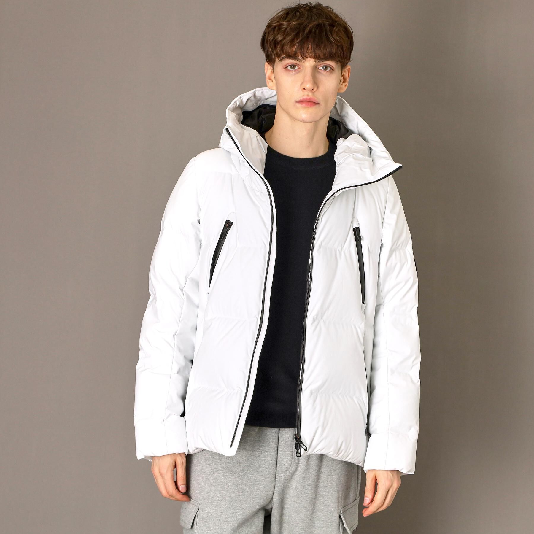 DRESSTERIOR「【700フィルパワー/高品質ダウン/Safari12月号掲載】ホワイトグース ホットメルトダウンMa」|ダウン|