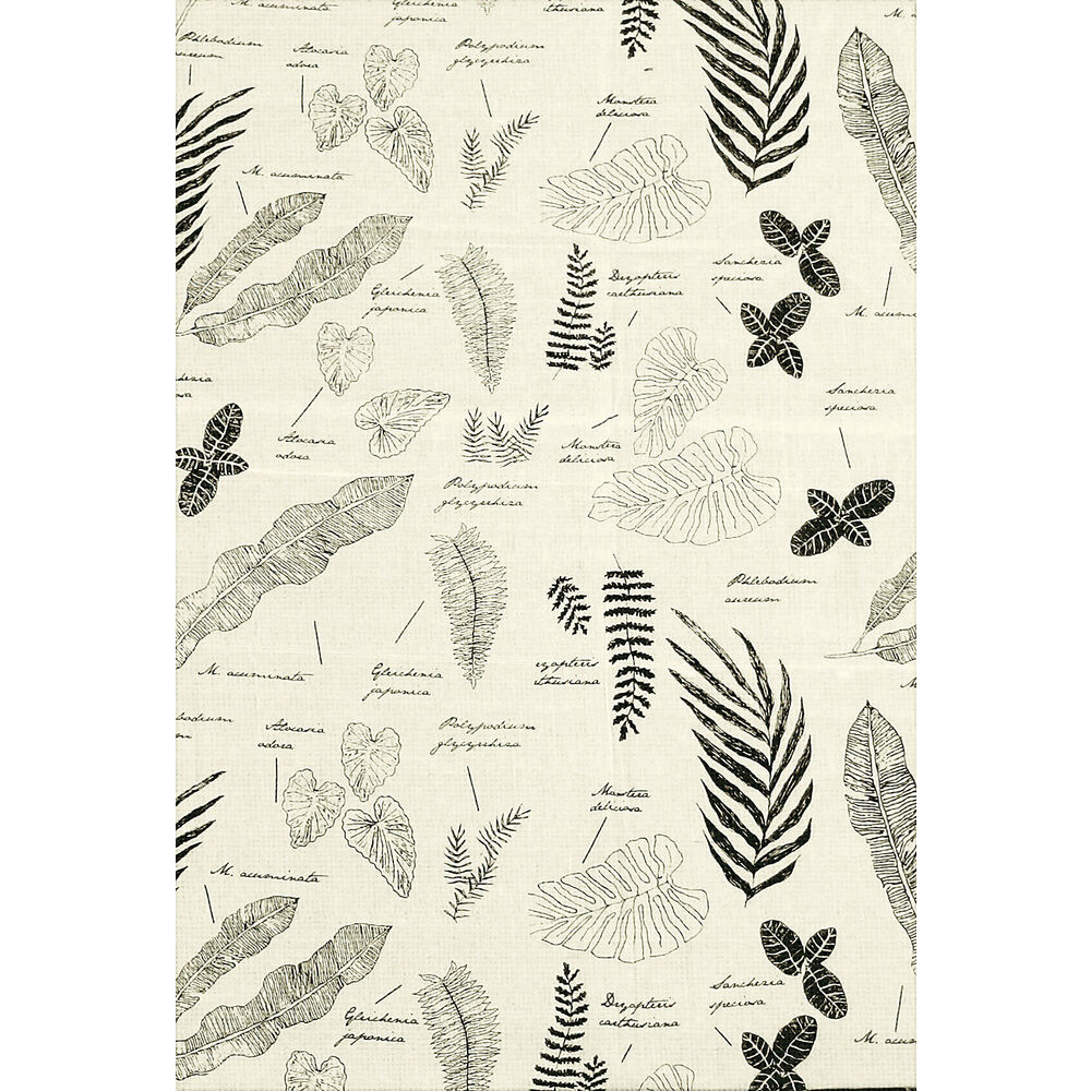 BACKYARD FAMILY「マルチカバー ソファー 夏 通販 おしゃれ ベッドカバー ソファカバー 目隠し カーテン」|その他|その他5