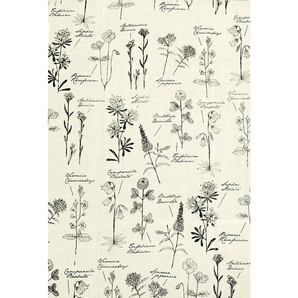 BACKYARD FAMILY「マルチカバー ソファー 夏 通販 おしゃれ ベッドカバー ソファカバー 目隠し カーテン」|その他|その他7