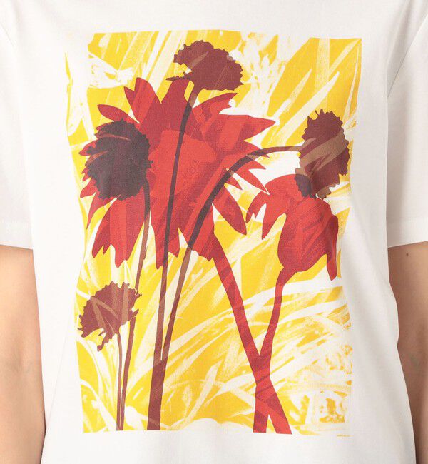 TOMORROWLAND GOODS「LISA KING  SLAD VALLEY　ハーフスリーブプルオーバー」|Tシャツ・カットソー|