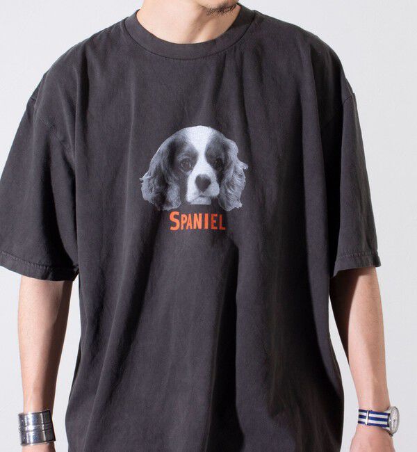 GLOSTER「【新柄追加】【GLOSTER/グロスター】DOG&CAT 犬猫プリント ピグメント プリントTシャツ」|Tシャツ・カットソー|