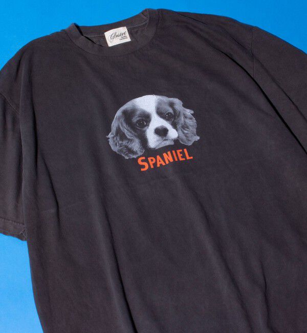 GLOSTER「【新柄追加】【GLOSTER/グロスター】DOG&CAT 犬猫プリント ピグメント プリントTシャツ」|Tシャツ・カットソー|