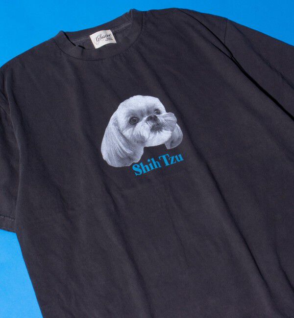 GLOSTER「【新柄追加】【GLOSTER/グロスター】DOG&CAT 犬猫プリント ピグメント プリントTシャツ」|Tシャツ・カットソー|