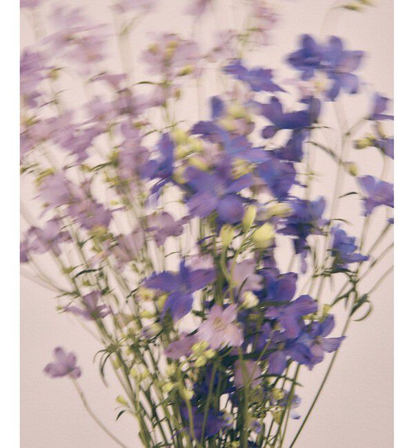 VIS「【DILIGENCE PARLOUR】VIS別注モデルフラワーロゴスウェット【セットアップ対応】」|スウェット・ジャージ|