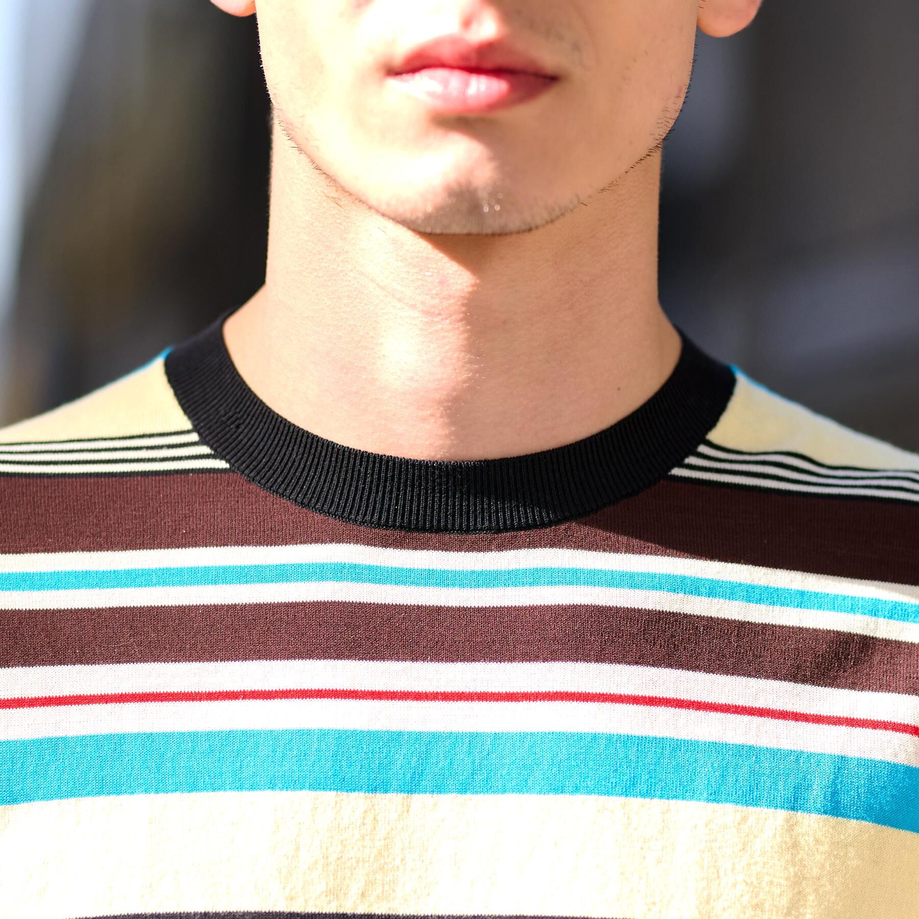 DRESSTERIOR「コットンシルク混 マルチボーダーニット」|ニット・セーター|