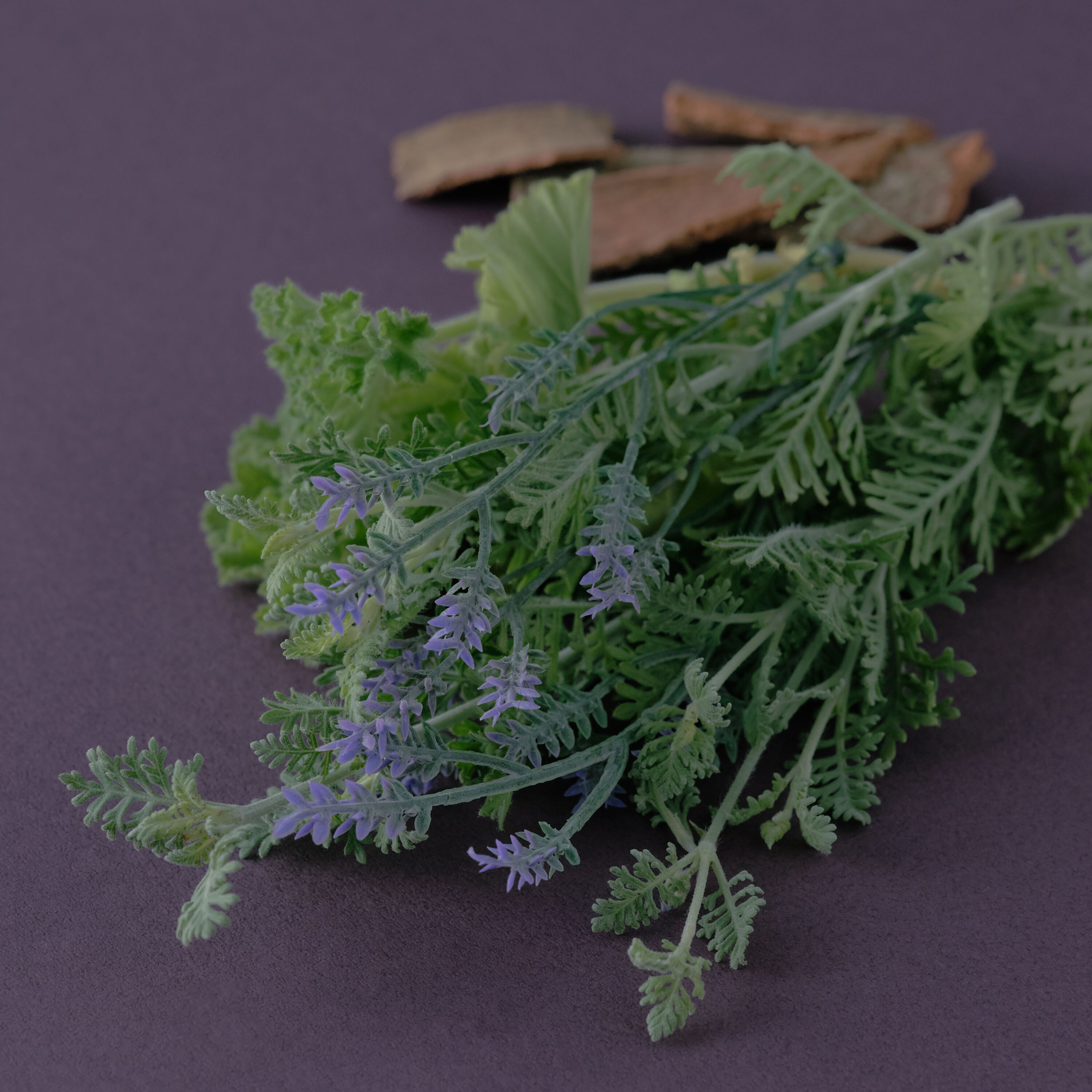 アットアロマ「頭痛ーるアロマ ナイトケア 10ml」|アロマ・ルームフレグランス|