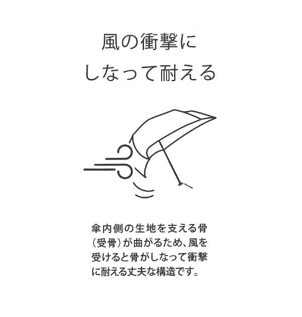 BACKYARD FAMILY「折りたたみ傘 mabu 軽量 丈夫 レディース メンズ ブランド コンパクト 55cm シンプル」|傘|