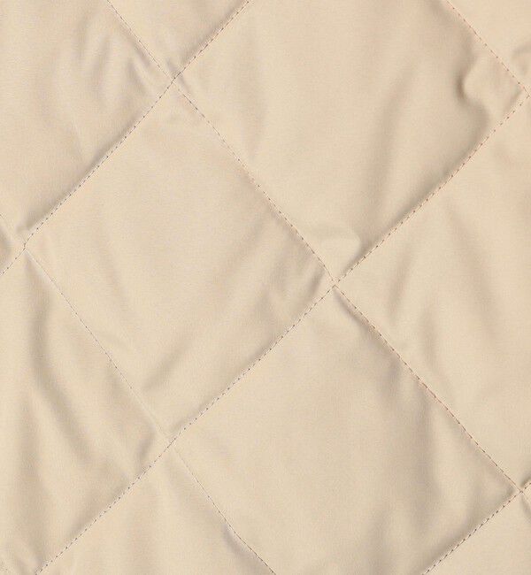 SHIPS any「《追加予約》【SHIPS any別注】TAION:〈手洗い可能〉パイピング フード ジャケット」|ダウン|