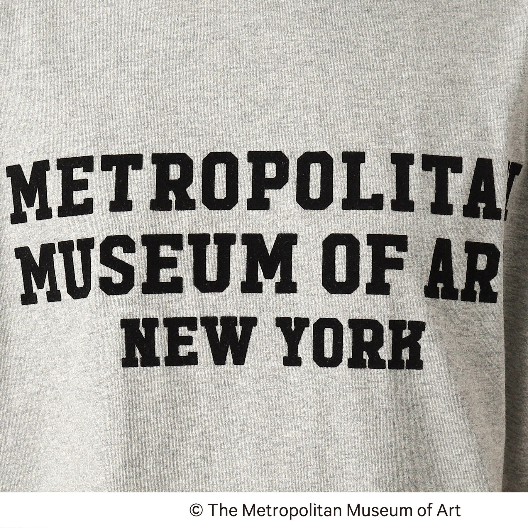 Dessin「【THE MET】コラボTシャツ」|Tシャツ・カットソー|