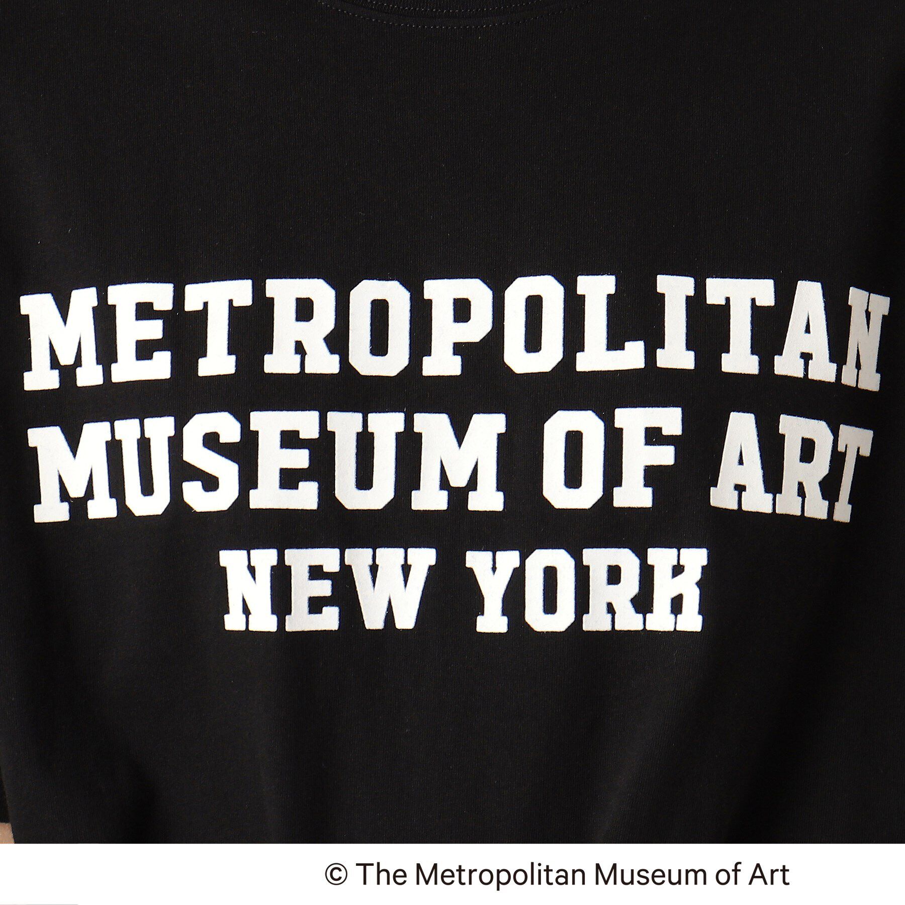 Dessin「【THE MET】コラボTシャツ」|Tシャツ・カットソー|