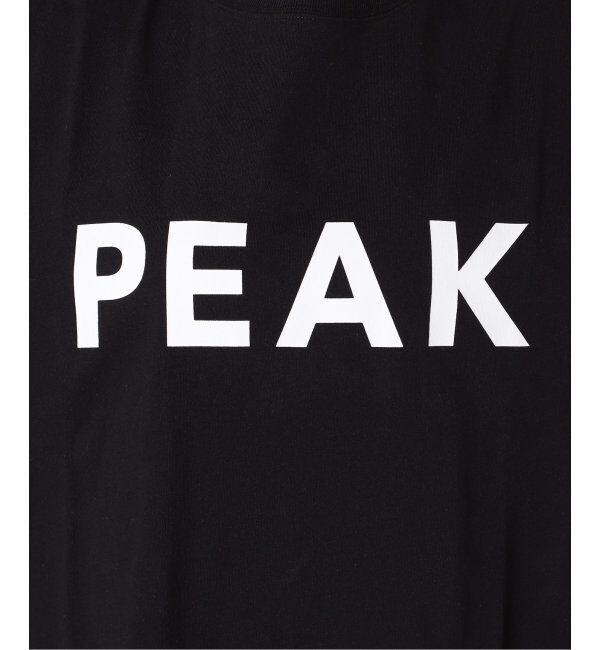 JOURNAL STANDARD relume「《追加2》別注【Snow Peak/スノーピーク】Tシャツワンピース」|ワンピース|