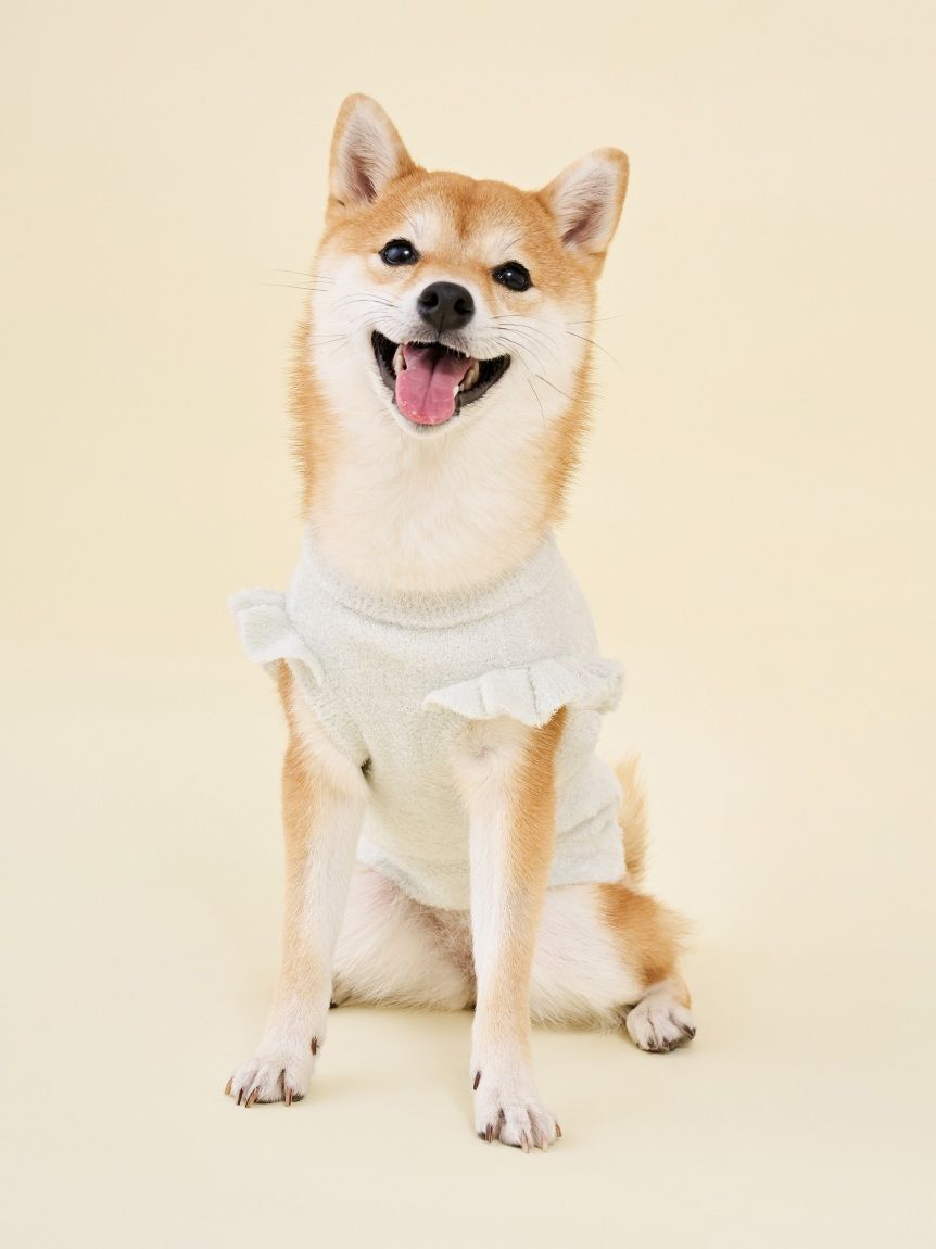  GELATO PIQUE CAT&DOG「【CAT&DOG】フルーツジャガードプルオーバー」|その他|