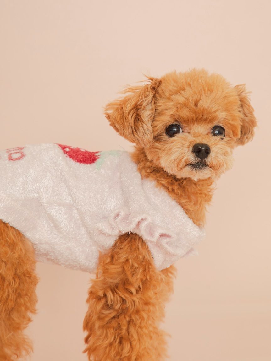  GELATO PIQUE CAT&DOG「【CAT&DOG】フルーツジャガードプルオーバー」|その他|