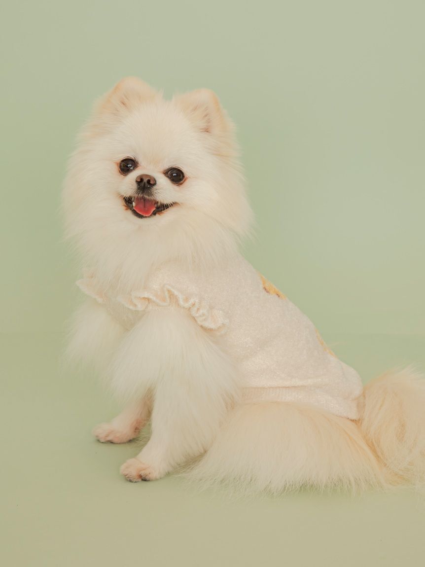  GELATO PIQUE CAT&DOG「【CAT&DOG】フルーツジャガードプルオーバー」|その他|