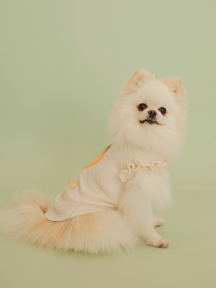  GELATO PIQUE CAT&DOG「【CAT&DOG】フルーツジャガードプルオーバー」|その他|