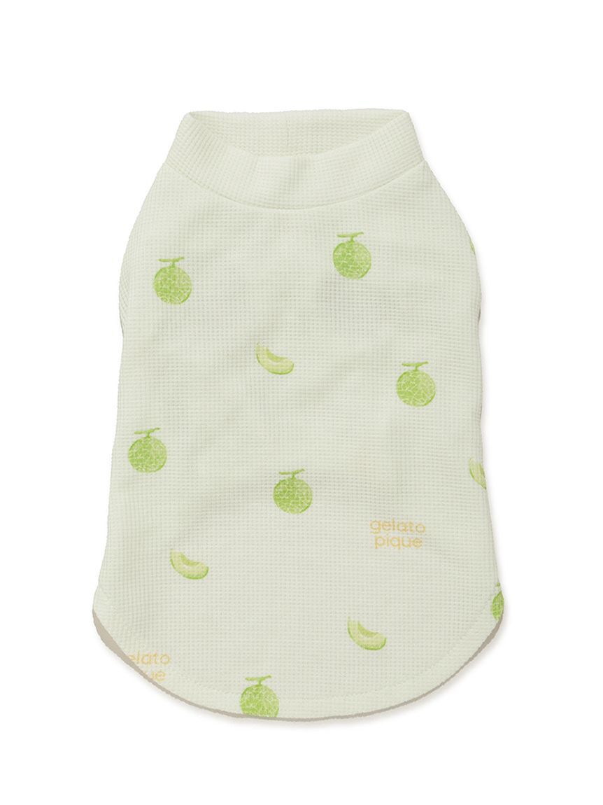  GELATO PIQUE CAT&DOG「【CAT&DOG】フルーツ柄ワッフルカットソープルオーバー」|その他|MNT