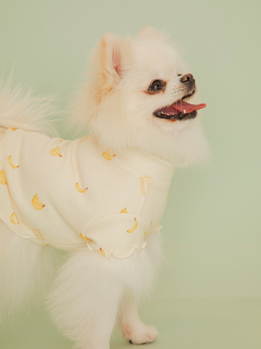  GELATO PIQUE CAT&DOG「【CAT&DOG】フルーツ柄ワッフルカットソープルオーバー」|その他|