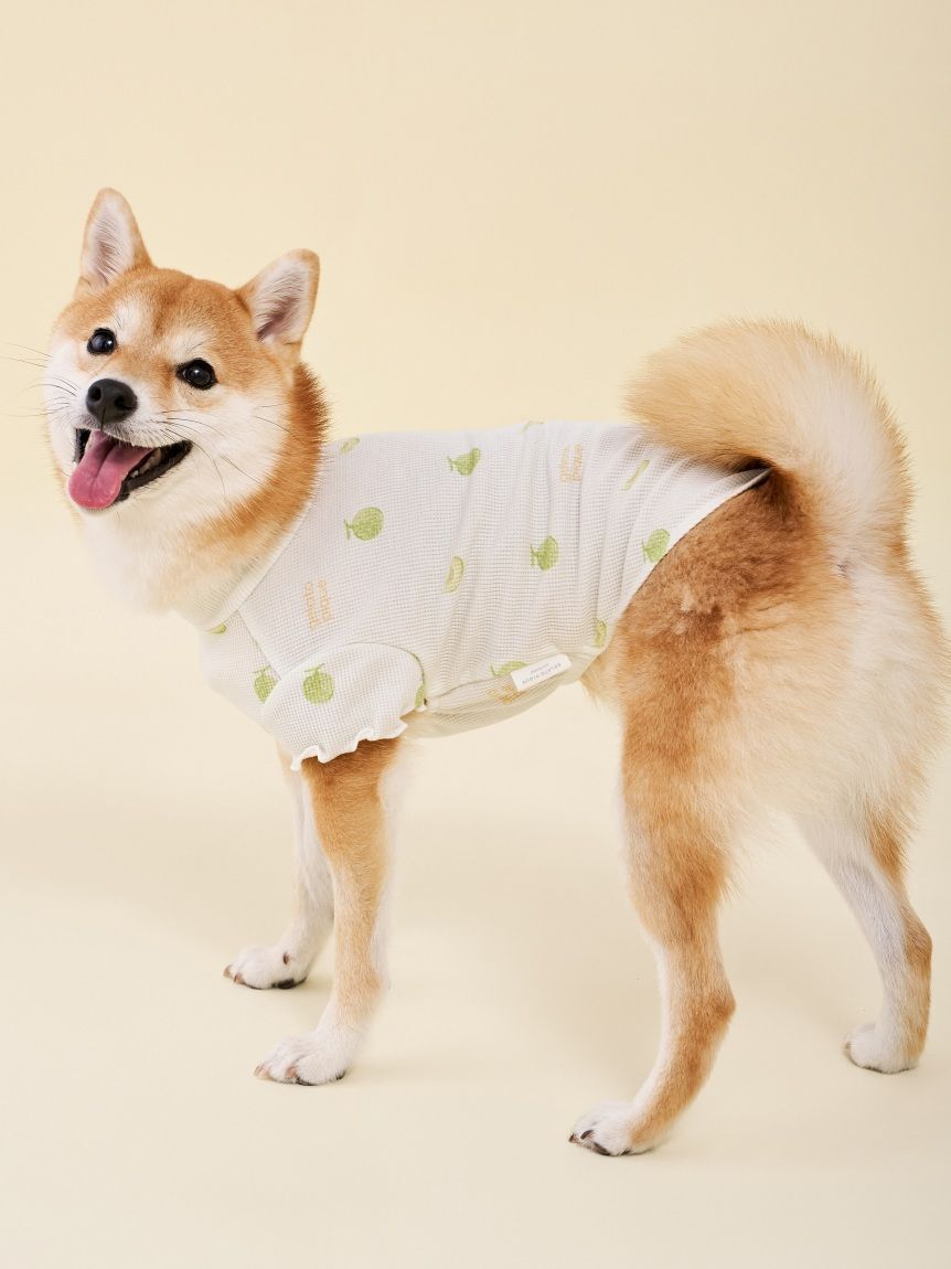  GELATO PIQUE CAT&DOG「【CAT&DOG】フルーツ柄ワッフルカットソープルオーバー」|その他|
