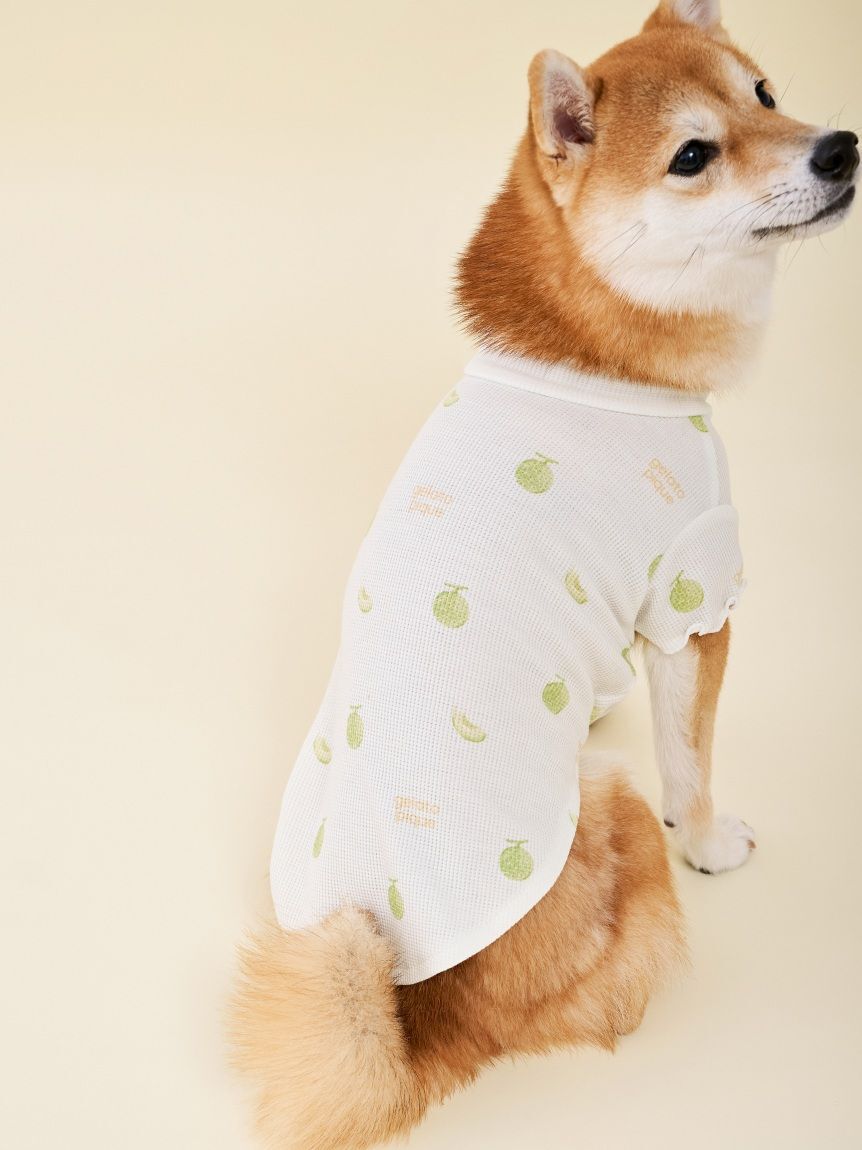  GELATO PIQUE CAT&DOG「【CAT&DOG】フルーツ柄ワッフルカットソープルオーバー」|その他|