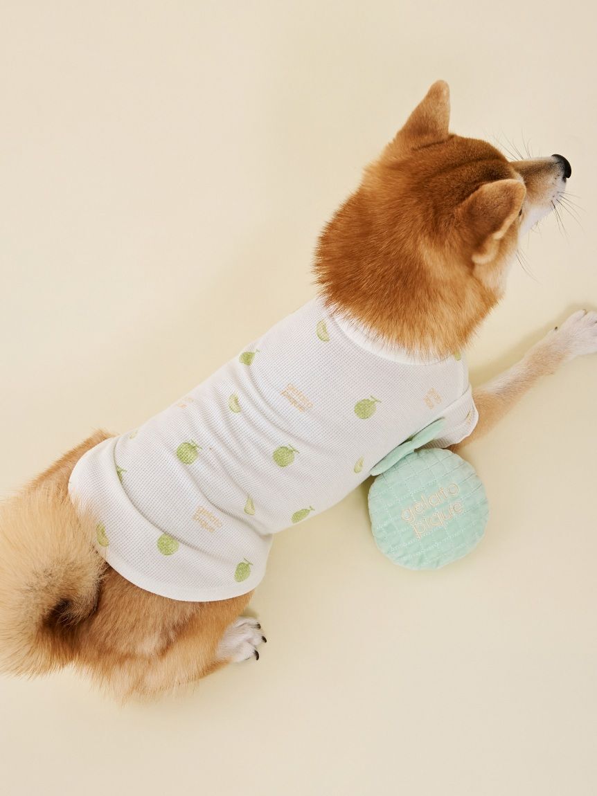  GELATO PIQUE CAT&DOG「【CAT&DOG】フルーツ柄ワッフルカットソープルオーバー」|その他|