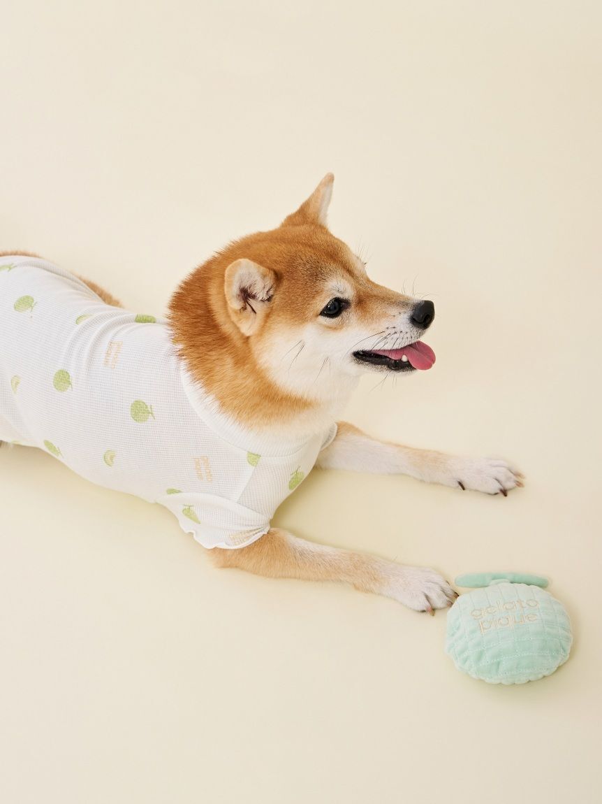  GELATO PIQUE CAT&DOG「【CAT&DOG】フルーツ柄ワッフルカットソープルオーバー」|その他|