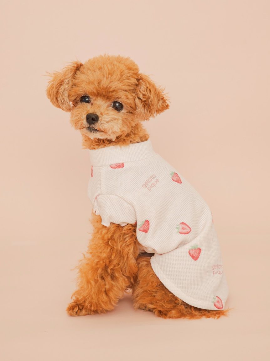  GELATO PIQUE CAT&DOG「【CAT&DOG】フルーツ柄ワッフルカットソープルオーバー」|その他|