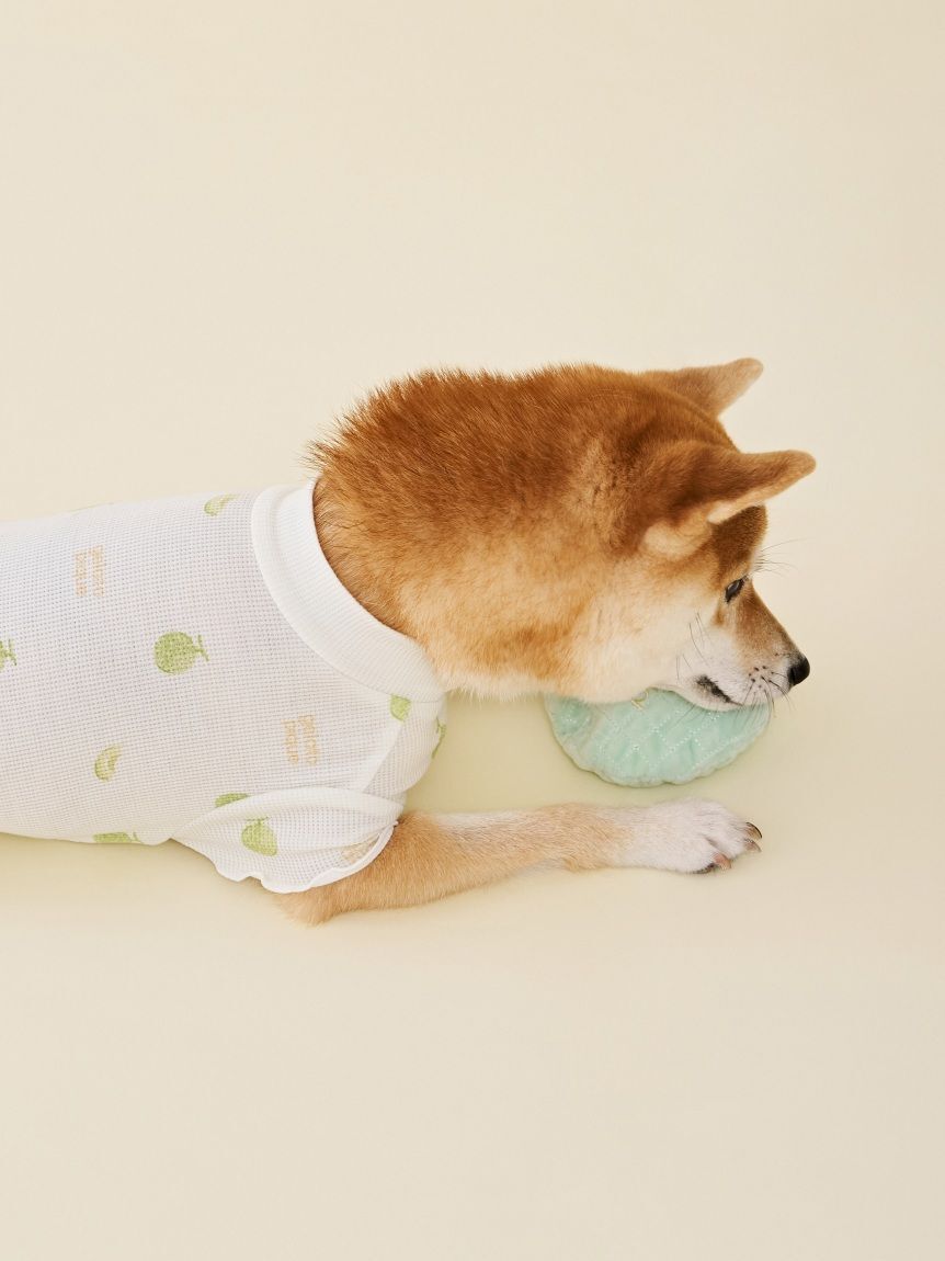  GELATO PIQUE CAT&DOG「【CAT&DOG】フルーツ柄ワッフルカットソープルオーバー」|その他|