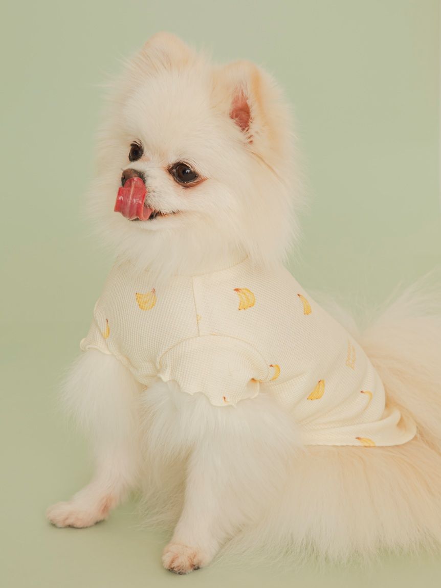  GELATO PIQUE CAT&DOG「【CAT&DOG】フルーツ柄ワッフルカットソープルオーバー」|その他|