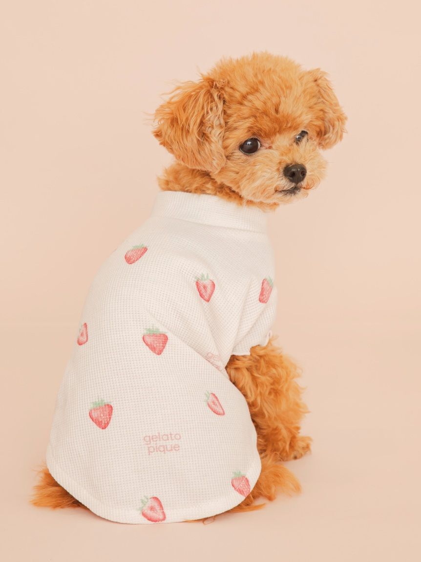  GELATO PIQUE CAT&DOG「【CAT&DOG】フルーツ柄ワッフルカットソープルオーバー」|その他|