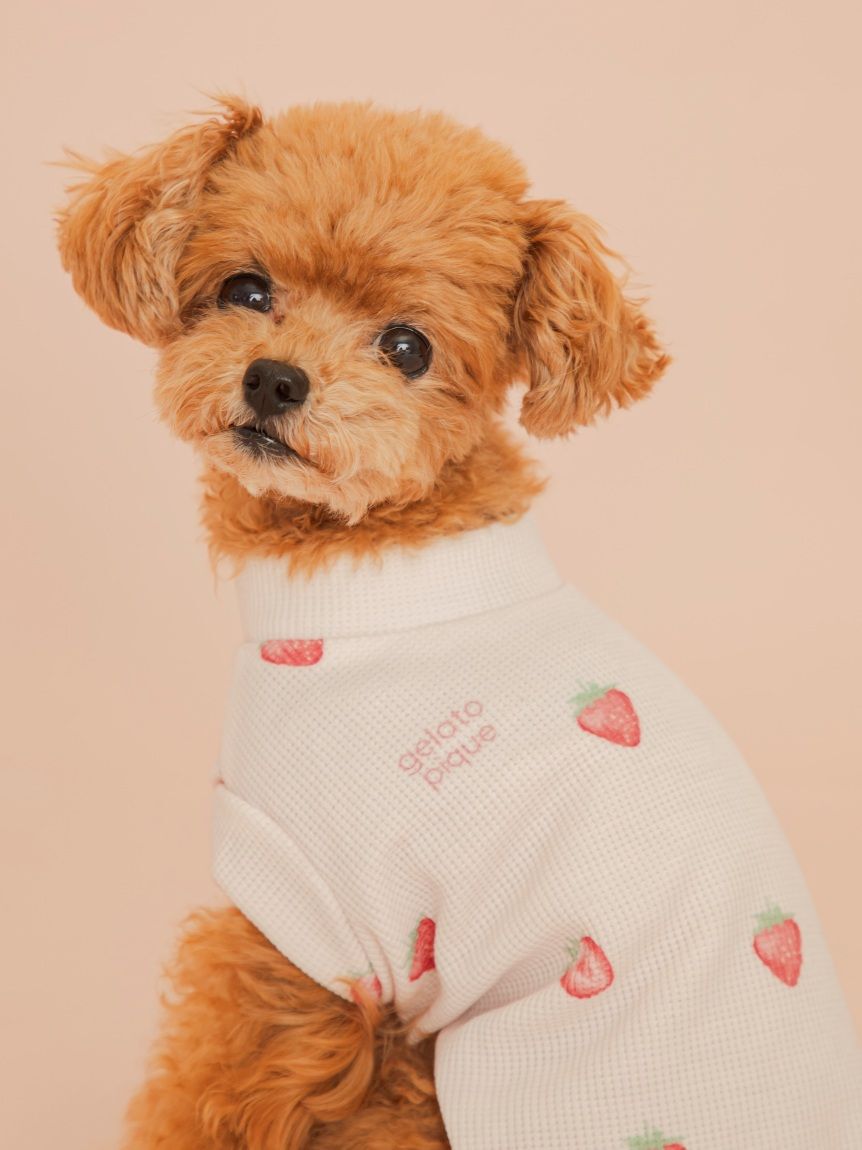  GELATO PIQUE CAT&DOG「【CAT&DOG】フルーツ柄ワッフルカットソープルオーバー」|その他|