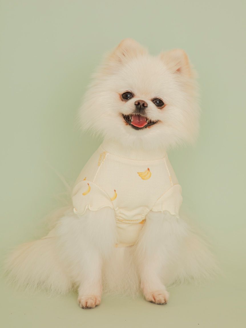  GELATO PIQUE CAT&DOG「【CAT&DOG】フルーツ柄ワッフルカットソープルオーバー」|その他|