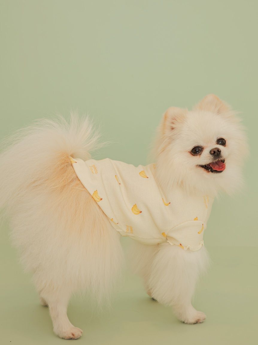  GELATO PIQUE CAT&DOG「【CAT&DOG】フルーツ柄ワッフルカットソープルオーバー」|その他|