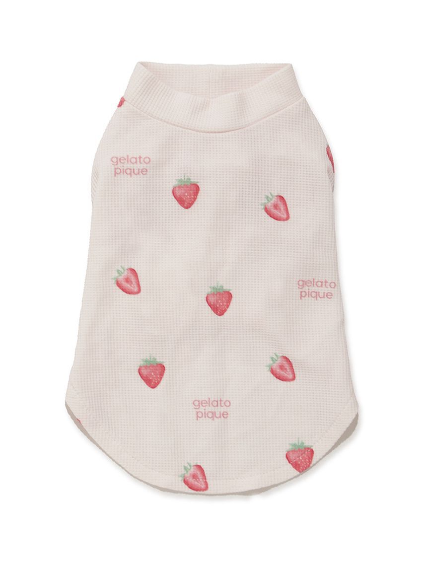  GELATO PIQUE CAT&DOG「【CAT&DOG】フルーツ柄ワッフルカットソープルオーバー」|その他|PNK