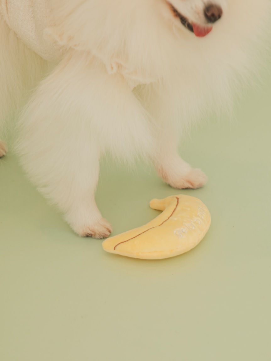  GELATO PIQUE CAT&DOG「【CAT&DOG】フルーツトイ」|その他|