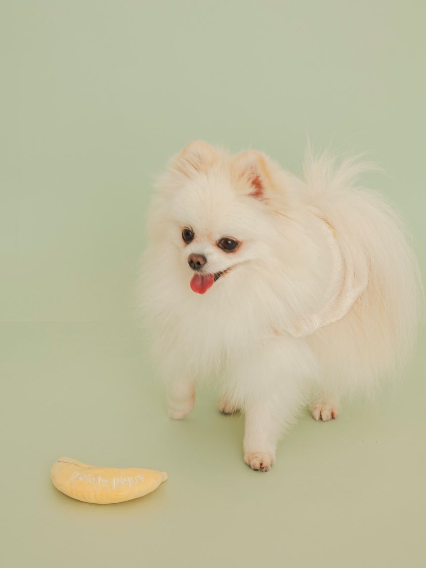  GELATO PIQUE CAT&DOG「【CAT&DOG】フルーツトイ」|その他|