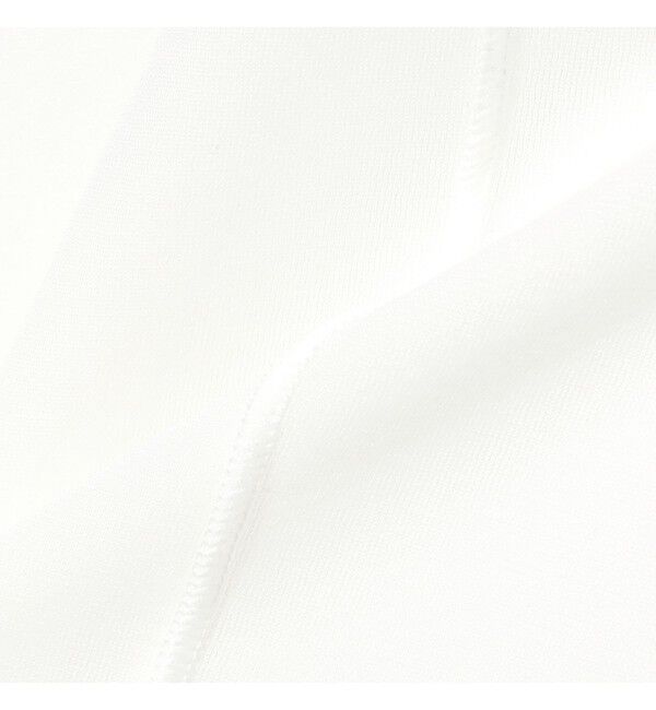 Ray BEAMS 「シアー センター シーム Tシャツ」|Tシャツ・カットソー|
