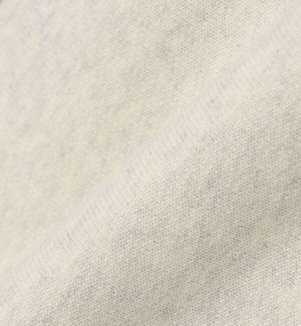 SHIPS any「【Begin11月号 BB10 掲載】【SHIPS any別注】Champion: リバースウィーブ Vネック カーディガン◇」|カーディガン|