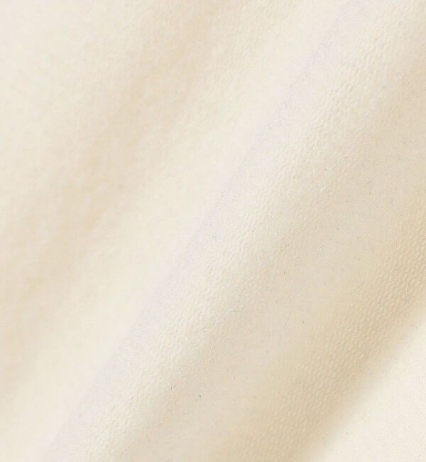 SHIPS for women「〈手洗い可能〉フロッキ― チュール タートルネック」|Tシャツ・カットソー|