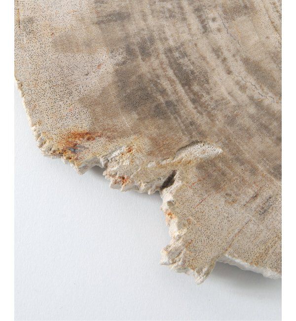 journal standard Furniture「PETRIFIED WOOD PLATE ウッドプレートS」|香水・フレグランス|
