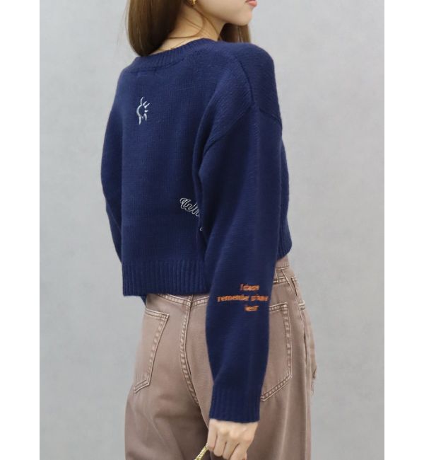 EVRIS「Embroideryニットトップス」|ニット・セーター|