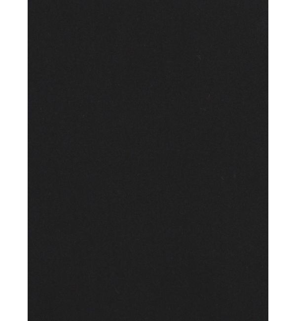 GYDA「LINING ラインストーンスカートライクショートパンツ【SETUP着用可】」|スカート|