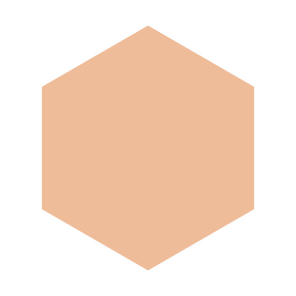 インテグレートグレイシィ「インテグレートグレイシィ エッセンスパウダーＢＢ 1 レフィル」|ファンデーション|