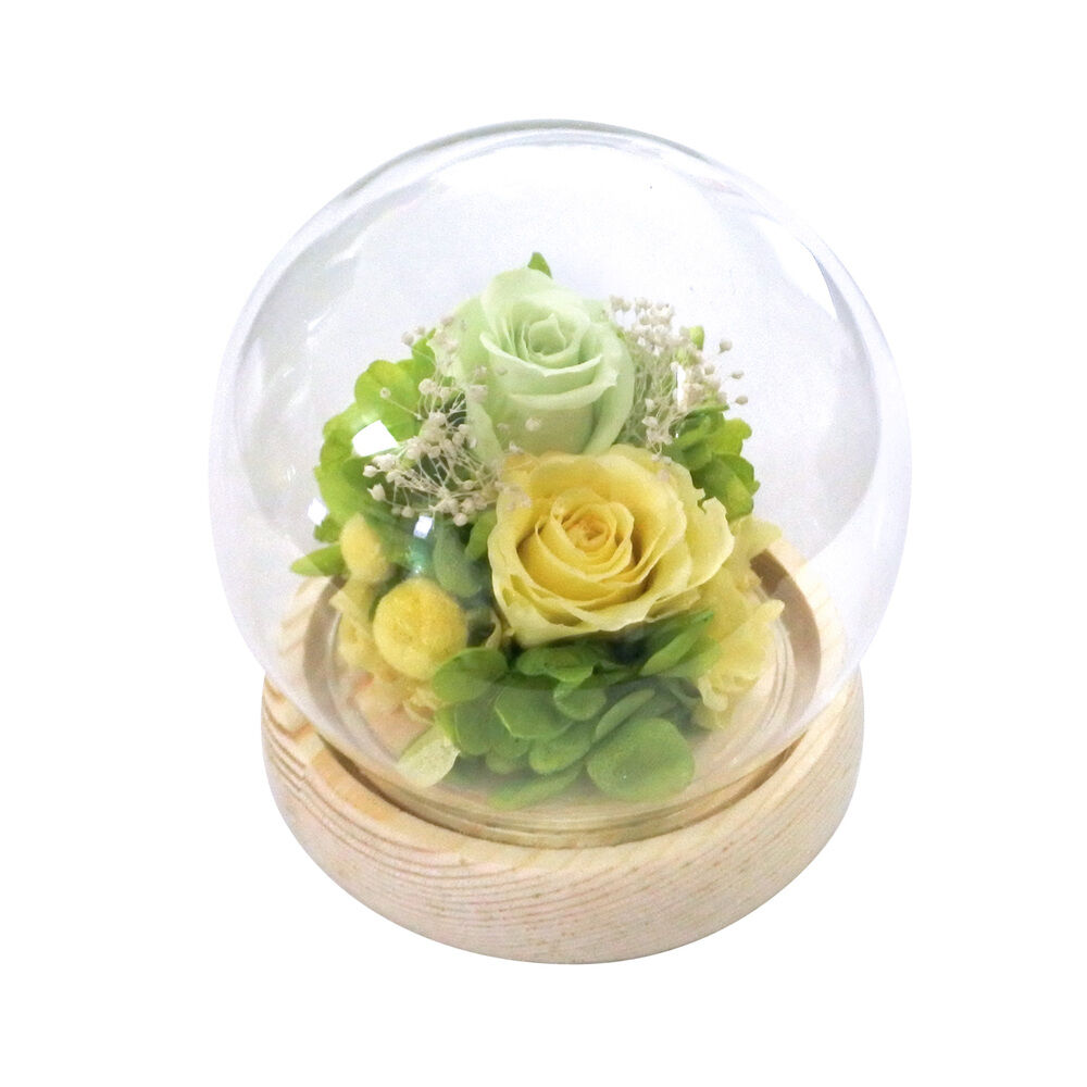BACKYARD FAMILY「プリザーブドフラワー ガラスドーム 通販 フラワーアレンジメント ブリザードフラワー」|その他|グリーン1