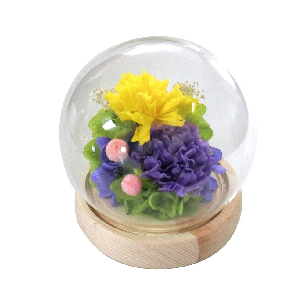 BACKYARD FAMILY「プリザーブドフラワー ガラスドーム 通販 フラワーアレンジメント ブリザードフラワー」|その他|その他1