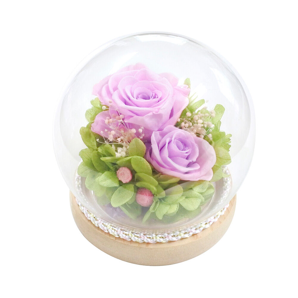 BACKYARD FAMILY「プリザーブドフラワー ガラスドーム 通販 フラワーアレンジメント ブリザードフラワー」|その他|その他2