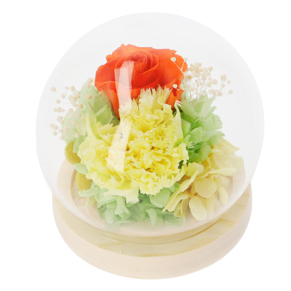 BACKYARD FAMILY「プリザーブドフラワー ガラスドーム 通販 フラワーアレンジメント ブリザードフラワー」|その他|その他6