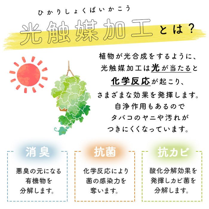BACKYARD FAMILY「光触媒 フェイクグリーン 通販 壁掛け イミテーショングリーン おしゃれ 壁 インテリアプランツ」|その他|