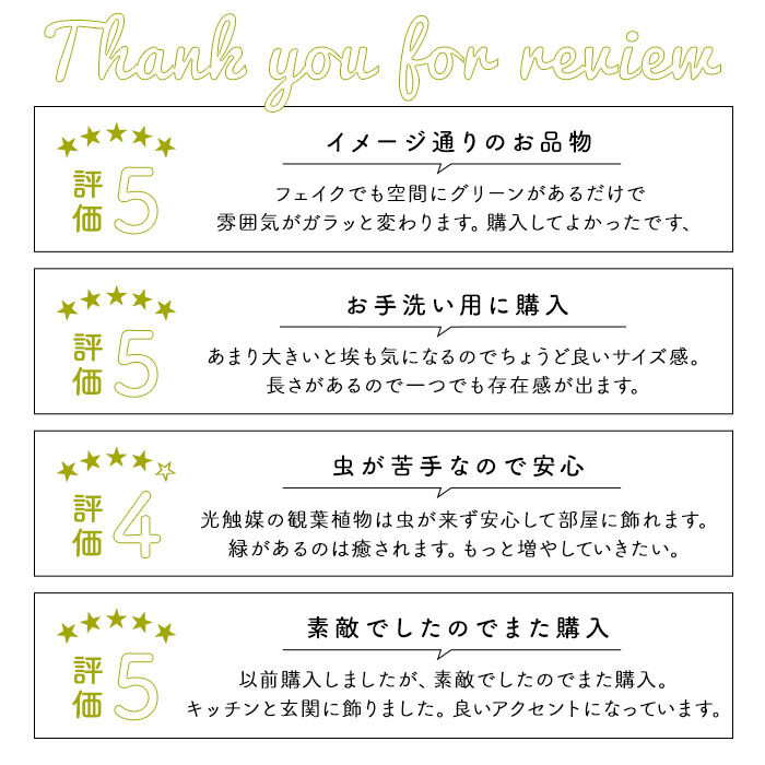BACKYARD FAMILY「光触媒 フェイクグリーン 通販 壁掛け イミテーショングリーン おしゃれ 壁 インテリアプランツ」|その他|