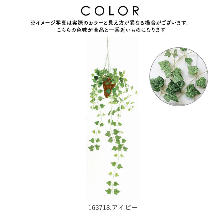 BACKYARD FAMILY「光触媒 フェイクグリーン 通販 壁掛け イミテーショングリーン おしゃれ 壁 インテリアプランツ」|その他|