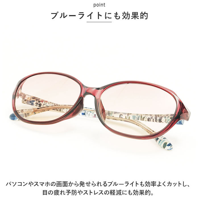 BACKYARD FAMILY「メラニンサングラス 花粉グラス 通販 カバーフレーム サングラス メガネ ケース付 眼鏡 めがね」|その他|
